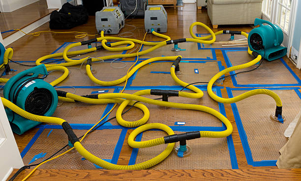 Professional Burst Pipe Water Damage technician working in Midland, WA